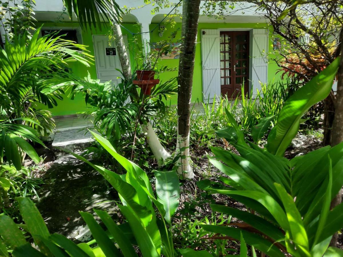 شقة Le Jardin De Massieux بويانت المظهر الخارجي الصورة